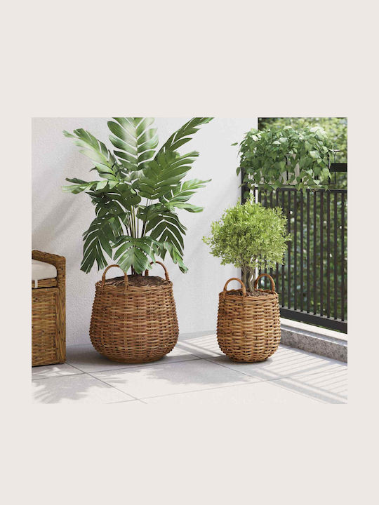 vidaXL Κασπώ Rattan Καφέ 2τμχ