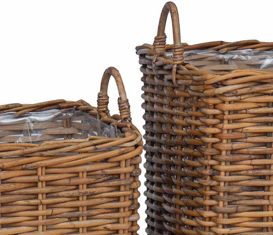 vidaXL Pflanzentöpfe Rattan Braune