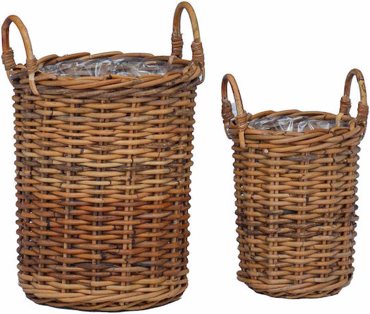 vidaXL Κασπώ Rattan Καφέ 2τμχ