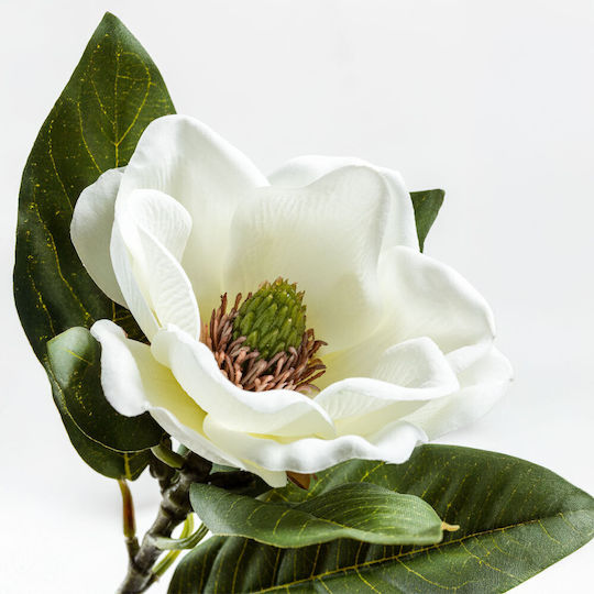 Floare Artificială Decorativă Magnolia Beige 12buc InTheBox