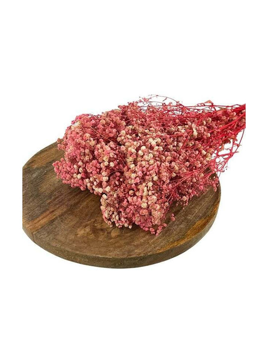 Getrocknete Pflanze Rosa HBX DECO B.V.