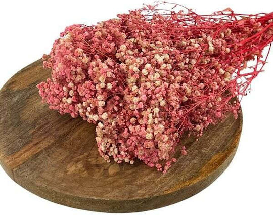 Dried Pink Plant HBX DECO B.V.