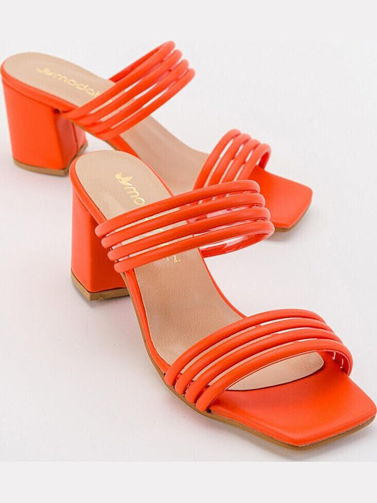 Moda Trend