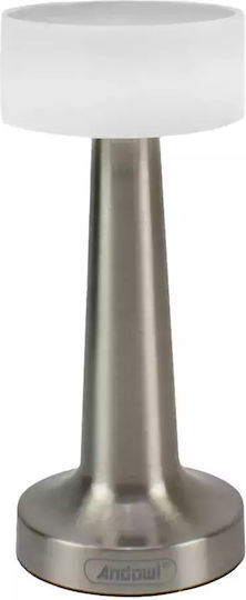 Andowl Dekorative Lampe Silber 10Stück