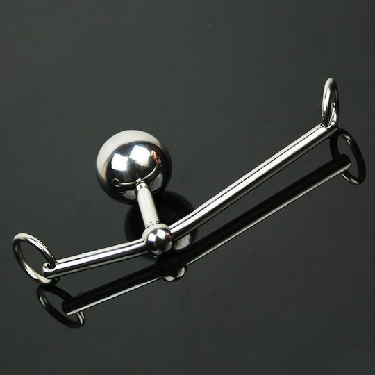 Heavy-duty Edelstahlankerhaken
