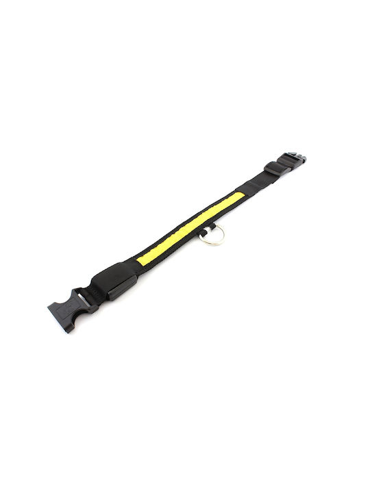 Beleuchtetes Hundehalsband Katzenfarbe Gelb Avx-ag232b