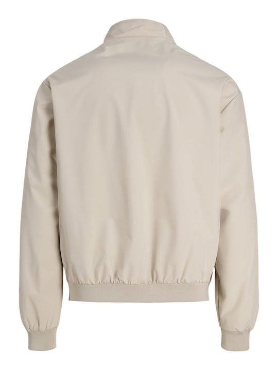 Jacket Bomber Ecru