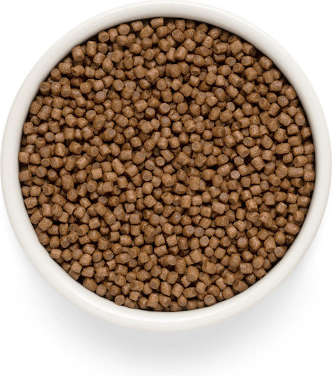 Grandorf Fresh 1kg Ξηρά Τροφή για Κουτάβια με Αρνί και Κρέας