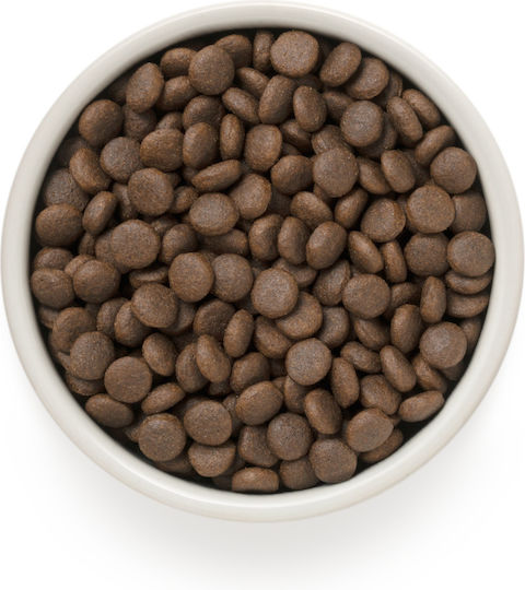 Grandorf Holistic & Hypoallergenic 1kg Ξηρά Τροφή χωρίς Γλουτένη για Ενήλικους Σκύλους Μεσαίων & Μεγαλόσωμων Φυλών με Γαλοπούλα, Αρνί, Πάπια και Κουνέλι