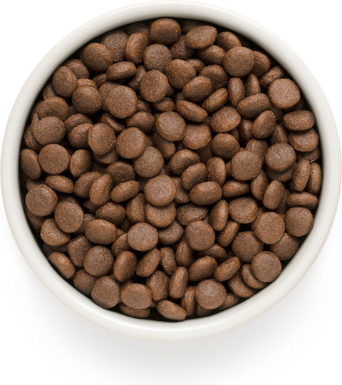 Grandorf Holistic & Hypoallergenic 10kg Dry Food Gluten-Free for Adult Medium & Large Breed Dogs with Lamb and Turkey