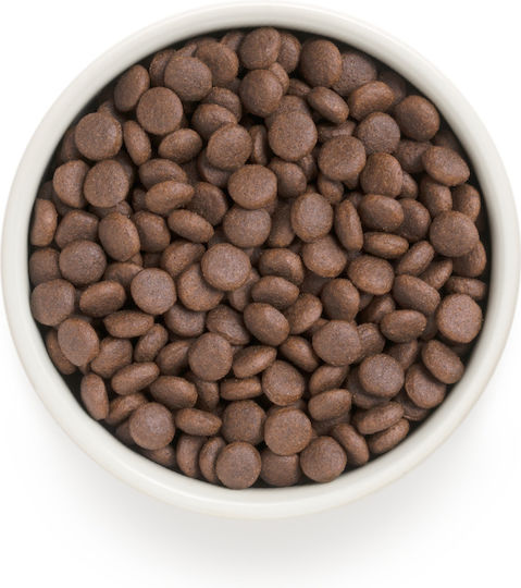 Grandorf Holistic & Hypoallergenic 3kg Dry Food Gluten-Free for Adult Medium & Large Breed Dogs with Turkey