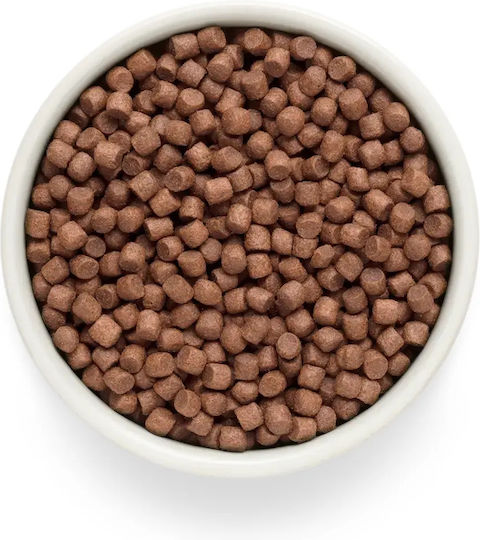 Grandorf 1kg Dry Food for Adult Small Breed Dogs with Fish and Chicken