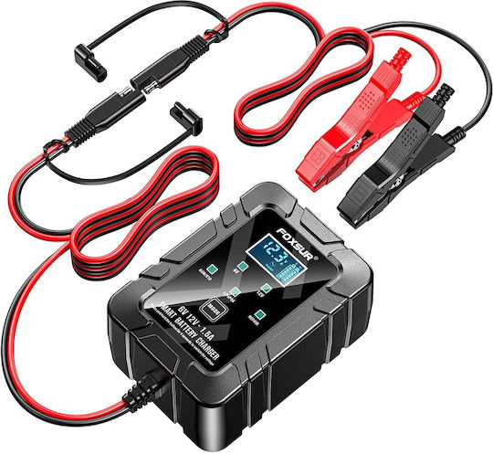 Foxsur Autobatterieladegerät 6/12V