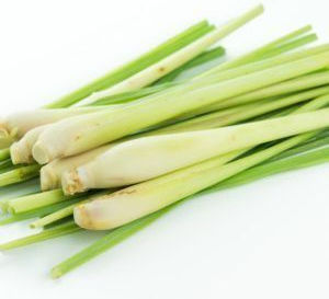 Rosveda Essential Oil Lemongrass 10ml