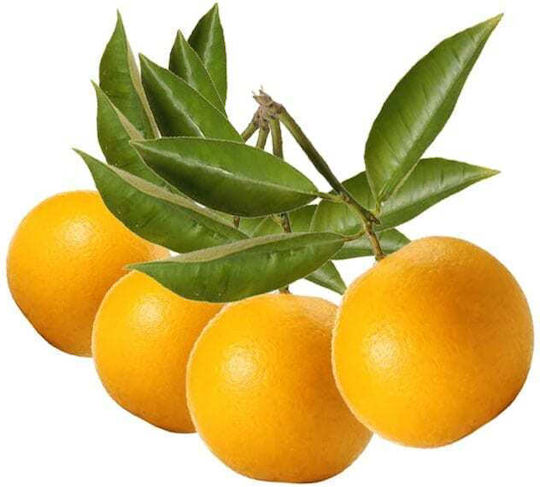Rosveda Αιθέριο Έλαιο Περγαμόντο 50ml
