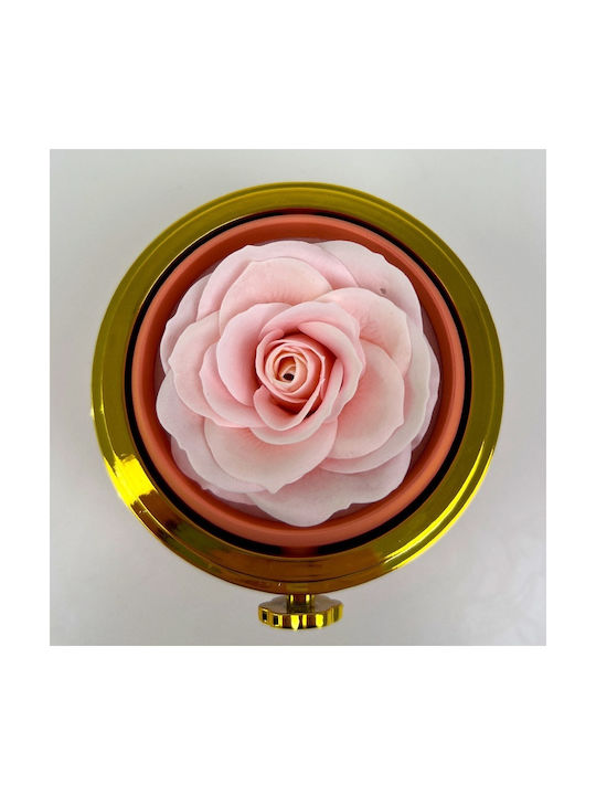 Pink Soap Rose In Elegant Box Transparent Dome Chain Surprise Pendant