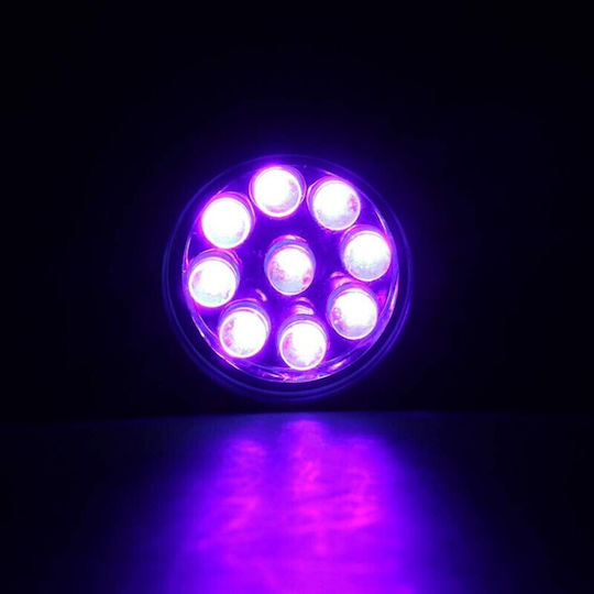 Φακός LED UV