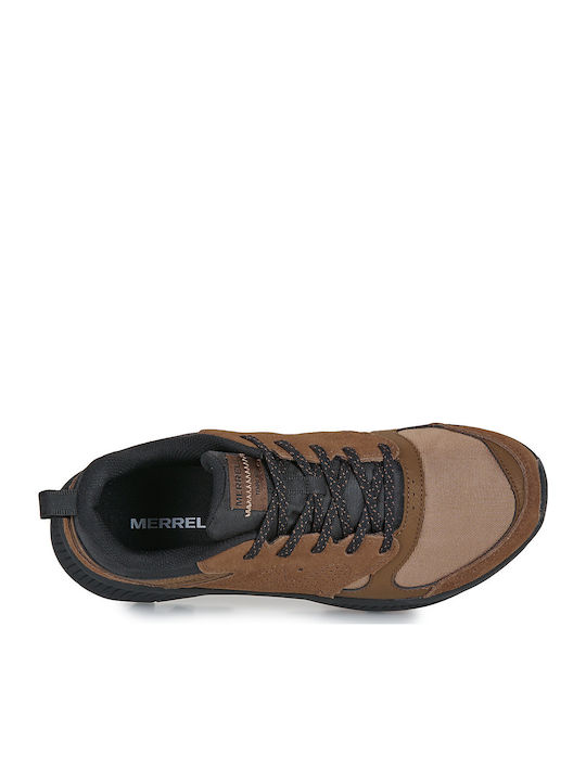 Sneakers Brown