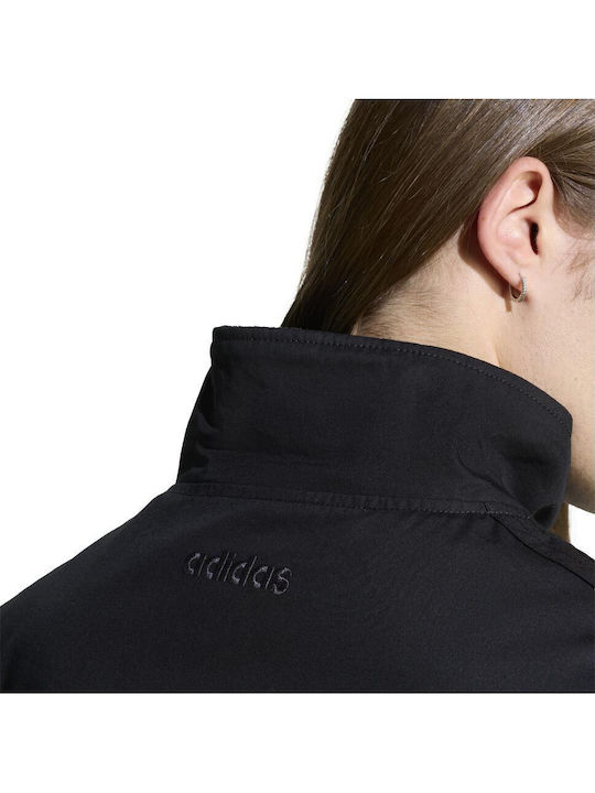 Jacket Jacket Firebird