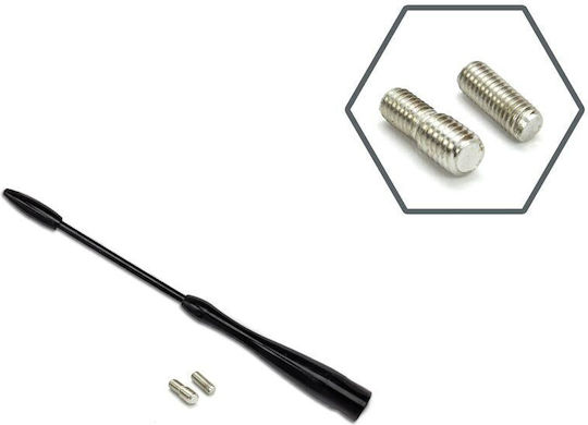Antena Auto Universală 16 Cm Radio 5/6 Mm Antm04