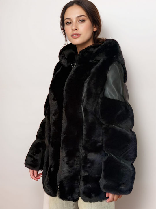 New Collection