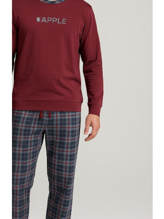 Apple Boxer Bordeaux
