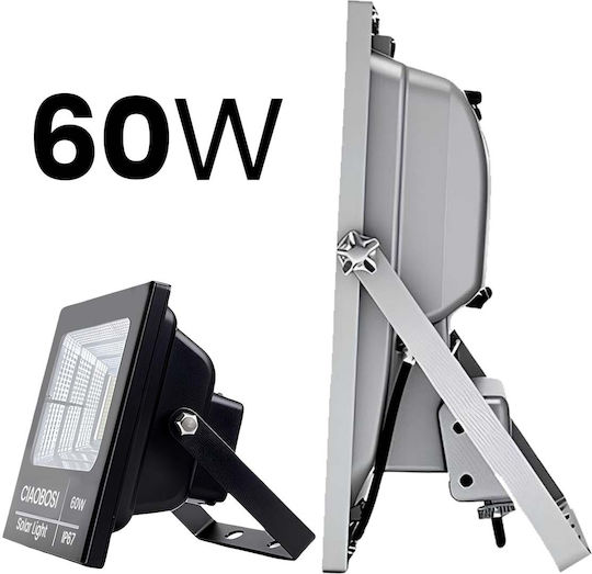 Avizar 60W IP67 LED Слънчев Прожектор Отделен Слънчев Панел Дистанционно Прозрачен Черен