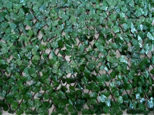 Sidirela Foliu artificial în Trellis Ivy 2x1m