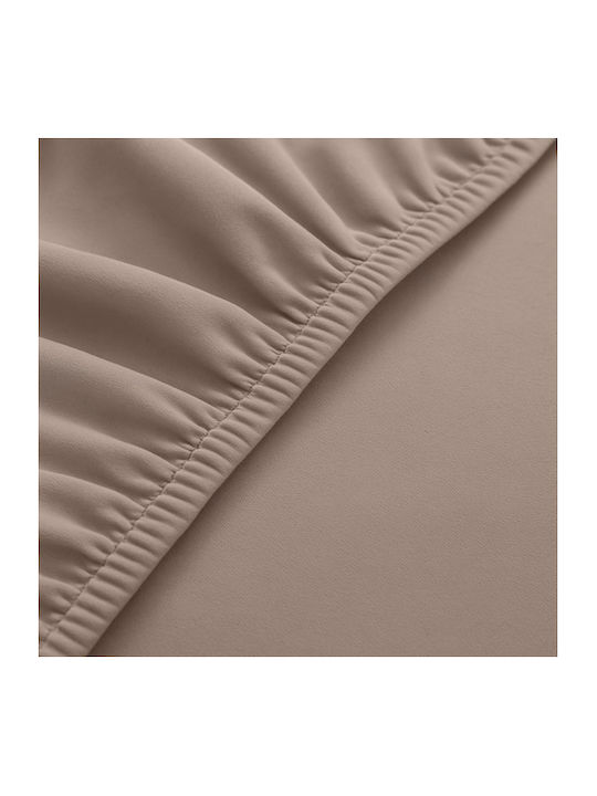 Olympus Elastic Cover for Chair Beige 65x40cm 6pcs OLYMH1