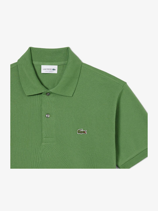Polo Herrenbluse Kurzarm Grüne