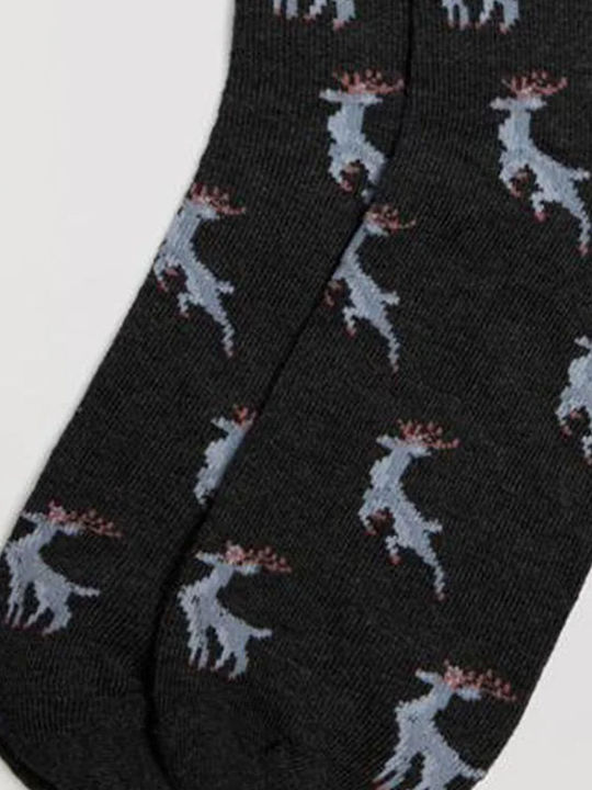 Ysabel Women's Socks Anthracite