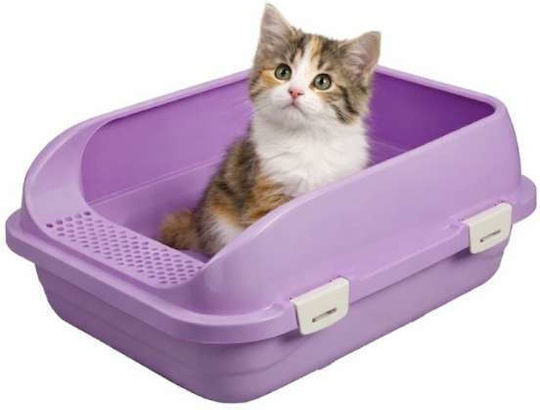 Cat Basin with Sieve Purple L58 x W42 x H24cm