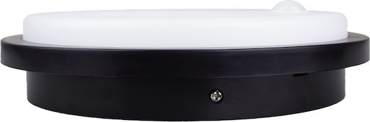 Maclean Energy Wall-Mounted Outdoor LED Lighting IP65 10W With Natural White Light