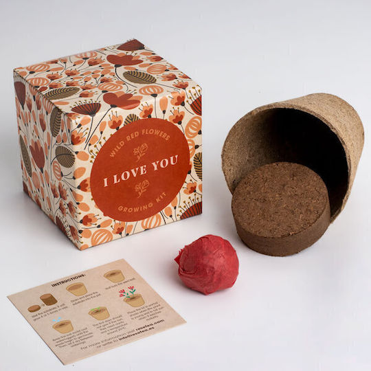 Set Für Die Kultivierung Von Blumen Say It Flowers I Love You 8,8 X 8,8 X 8,8 Cm Set Für Die Kultivierung Von Blumen Say It Flowers I Love You 8,8 X 8,8 X 8,8 Cm