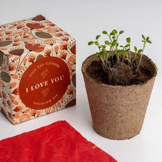 Say It Flowers I Love You Flower Growing Set 8.8 X 8.8 X 8.8 Cm