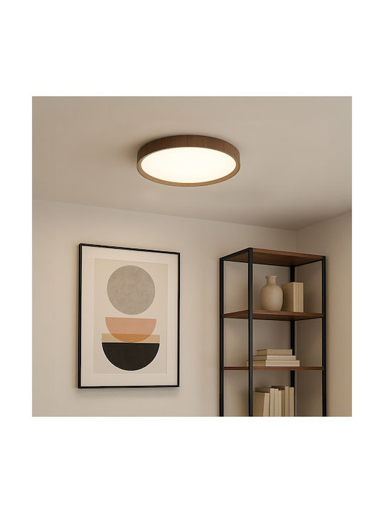 Eko Light Ceiling Mount Light 26cm with Integrated LED