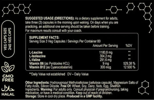 Fuel Up Amino-up 600mg 240 Φυτικές Κάψουλες