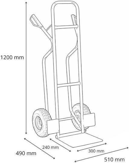 Axion Καρότσι Μεταφοράς για Φορτίο Βάρους έως 250kg σε Μπλε Χρώμα
