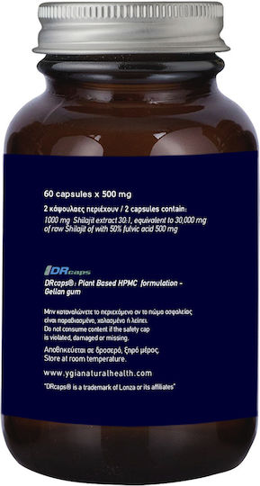 Ygia SHILAJIT 30mg 60 κάψουλες