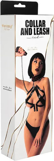 Fantasy Lingerie Κολάρο σε Ασημί Χρώμα