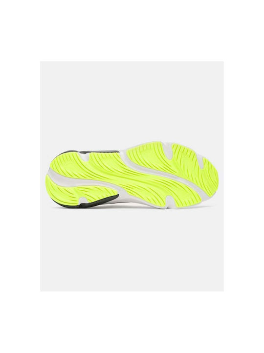 Rogue 6 Sport Shoes Running White