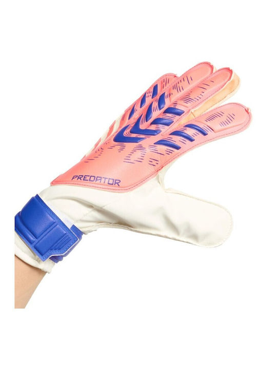 adidas Predator Training Γάντια Τερματοφύλακα Ενηλίκων Πορτοκαλί