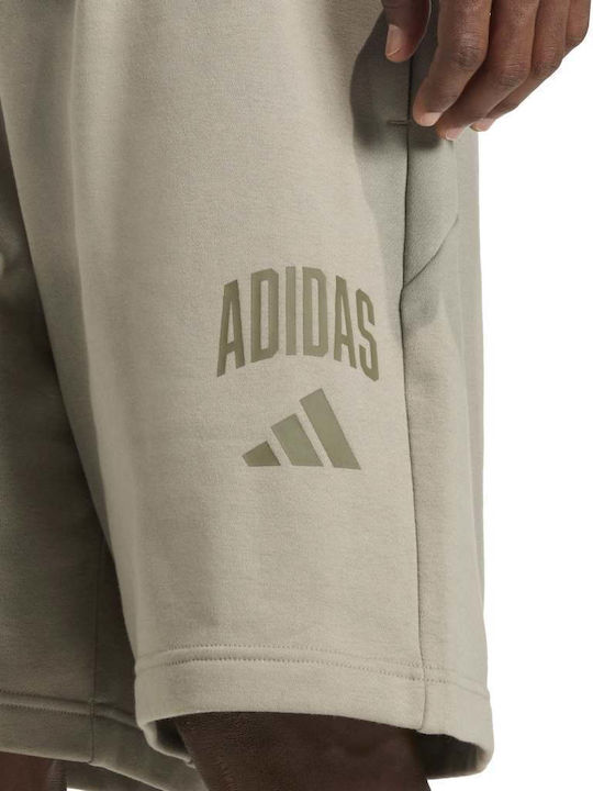 Herrenshorts Khaki