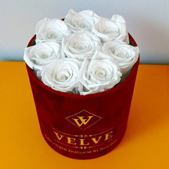 Ewige Rose Florale Anordnung Kryogenisierte Rosen In Einer Runde Box Weiße