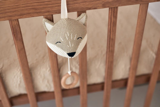 Jollein Pendant Toy for Crib and Stroller with Music for 0++ Months