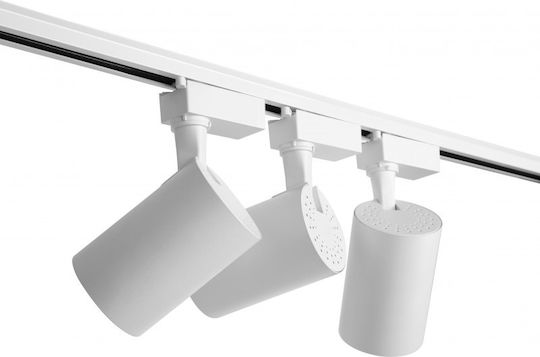 LED Warm White Spot with 10 Lights in White Color