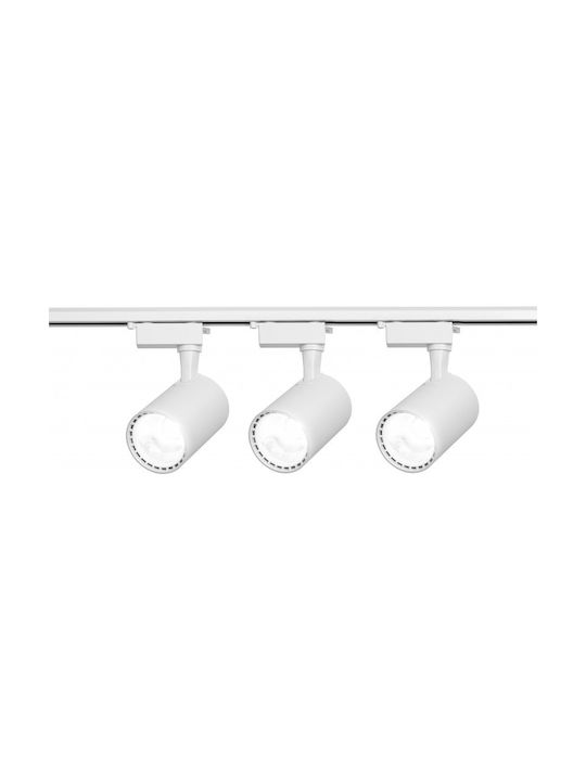LED Cool White Spot with 10 Lights in White Color