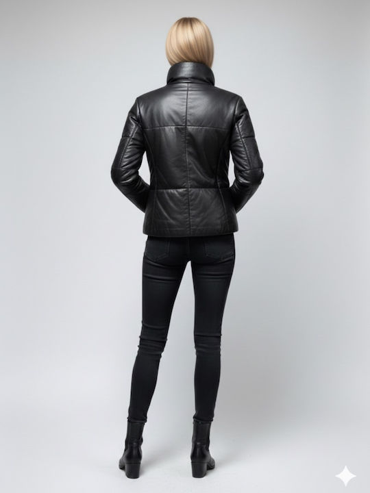 Newton Leather Newton Leather