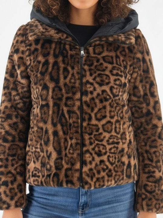 Scurtă Blană de damă Brown