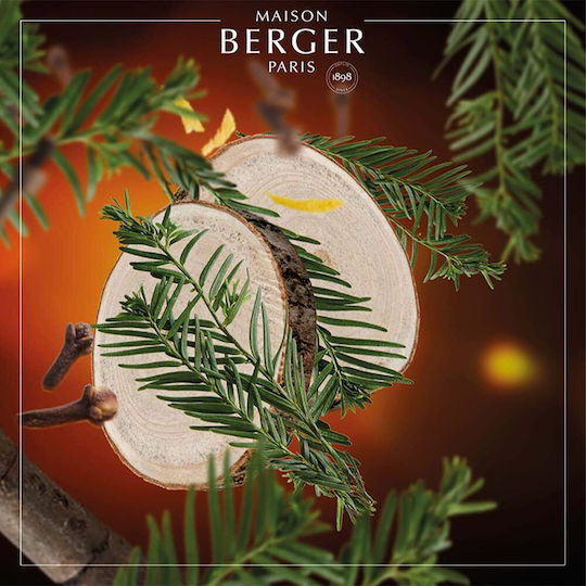 Maison Berger Paris Nachfüllflüssigkeit für Diffuser mit Duft Zedernholz 006037 200ml
